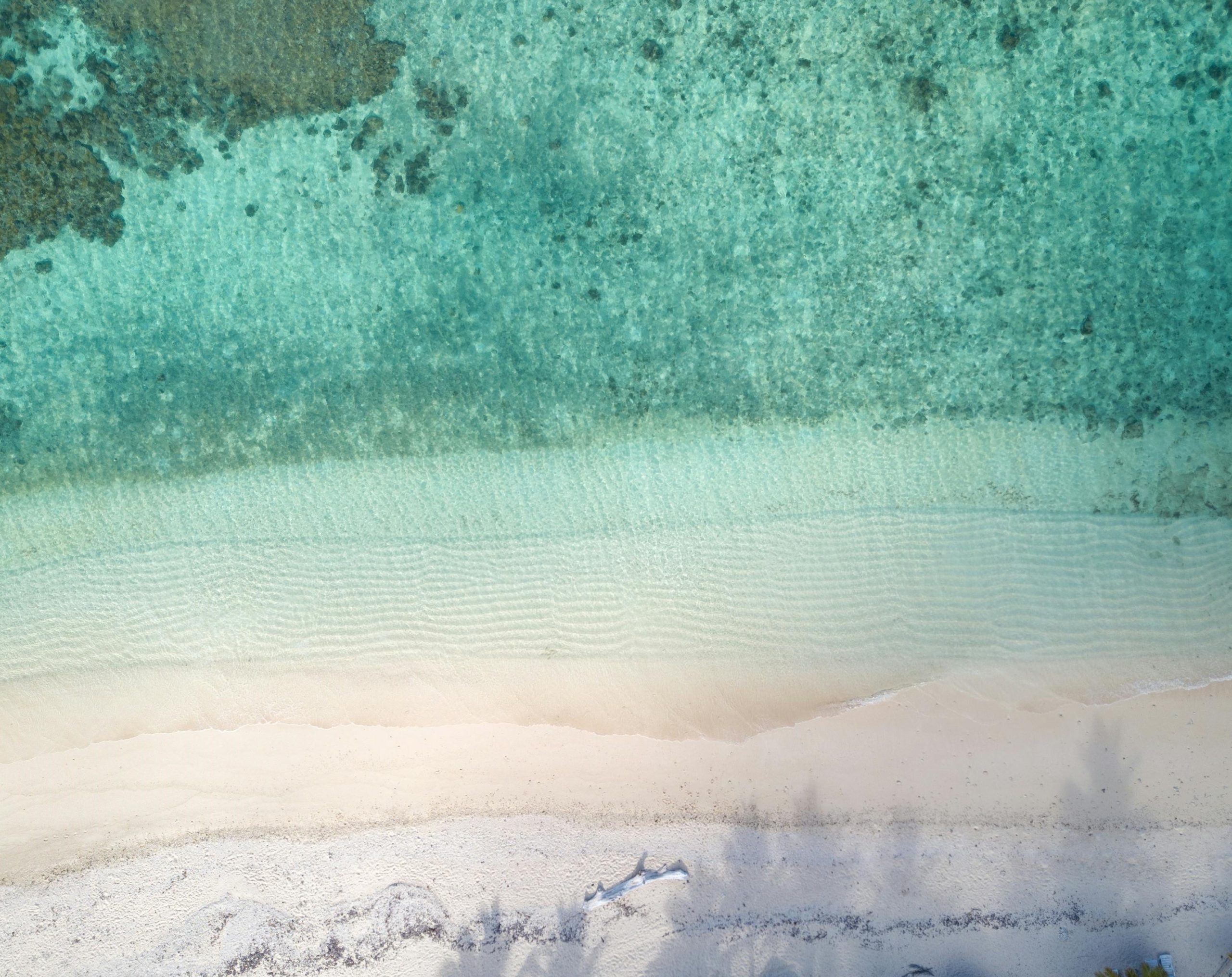 Nature’s Blueprint